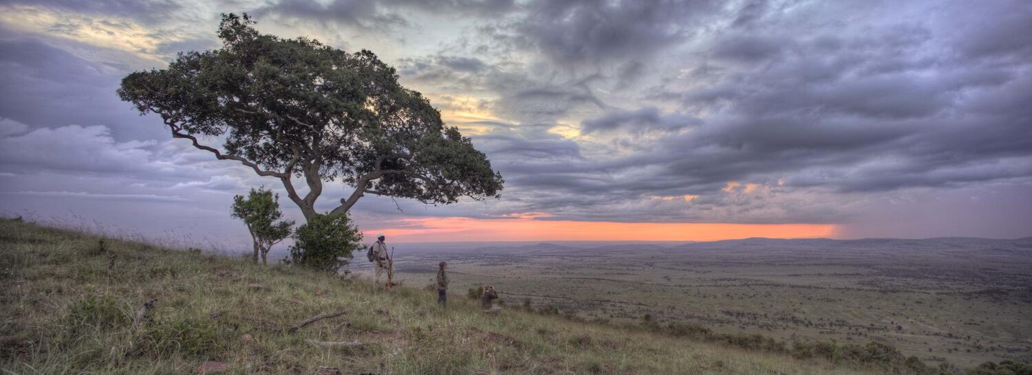 PlaceholderImage1302